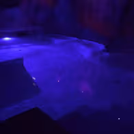 L'Ôlà - Club & Sauna Libertin - photo 12