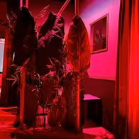 * Scorpion Club * L'unico Vero Night Club Di Pavia - photo 9