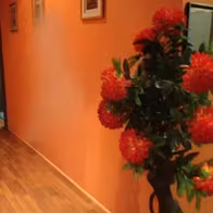 Miranda Asian Massage - photo 2