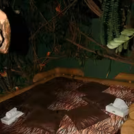 Swingerclub Frivoli - photo 6