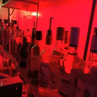The Bold Club - photo 16