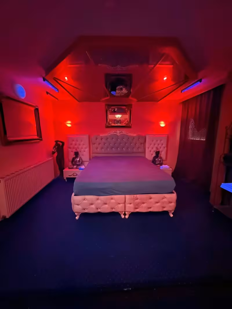 Dino's Partyhaus - photo 1