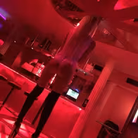 Nightclub Pegasus - photo 5
