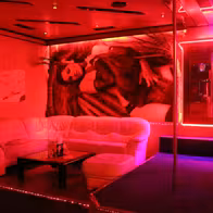 Nachtclub Amore Mio Attnang Puchheim - photo 13