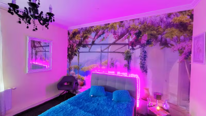 Nightclub Flamingo - photo 1