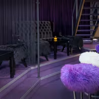 Skyline Nightclub & Showdance - photo 2