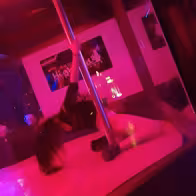 Showbar Highland - photo 3