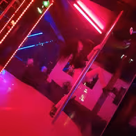 Showbar Highland - photo 4
