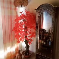 La Touch - photo 8