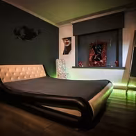 Le 337 - photo 4