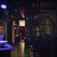 New Club Cocoon - photo 14