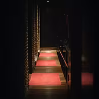 New Club Cocoon - photo 27