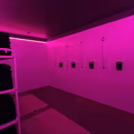 Buddhaclub - photo 2