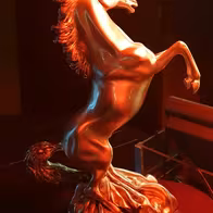 The Funny Horse Club - photo 5