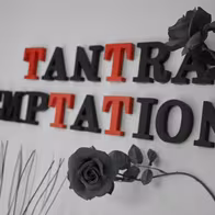 Tantra Temptations - photo 14