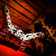 Only4you - photo 6