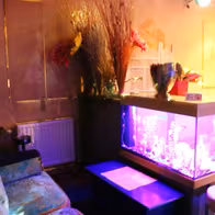 Business Club - Chez Line - photo 15