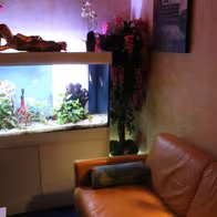 Business Club - Chez Line - photo 16
