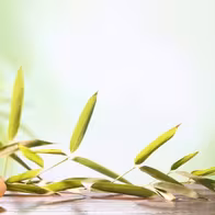 Elite Spa (精英 Spa) - photo 8