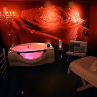 Le Penthouse - photo 5