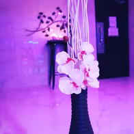 Spa Le Boudoir - photo 6