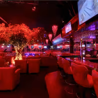 Cabaret Kingdom - photo 12