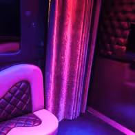 Saint Pete's Exotic Show Bar - photo 3