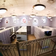 Diamonds Cabaret - photo 12