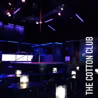 The Cotton Club - photo 6