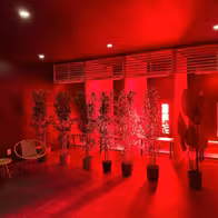 Spa Of Eden Executive Wellness & Massage Spa Markham - photo 4