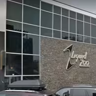 Liquid Zoo - photo 2
