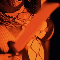 Liquid Zoo - photo 3