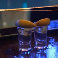 Liquid Zoo - photo 7
