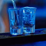 Liquid Zoo - photo 12