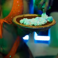 Liquid Zoo - photo 13