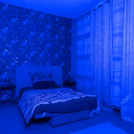 Night Club West - photo 15
