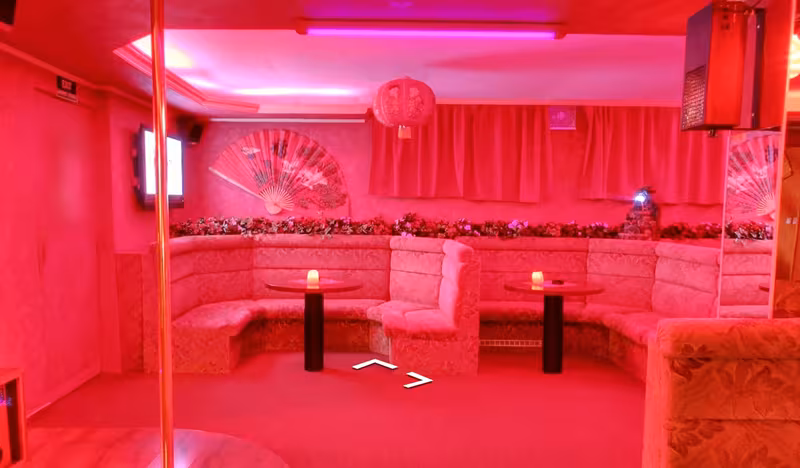 Geisha - photo 1