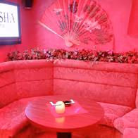 Geisha - photo 5