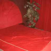 Privat Haje - photo 4
