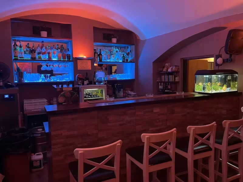 Club Lublaňská - photo 1