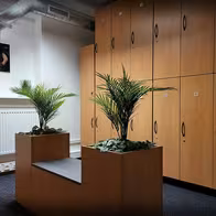 Swingers - Wellness Desire Praha - photo 20
