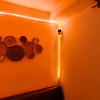 Erotic - Tantra Massage Coccinelle - photo 9