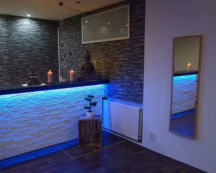 Erotic Massage Prague- Fenix