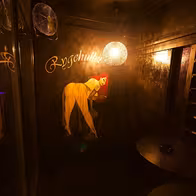 Swingland - photo 4