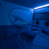 Swingland - photo 7