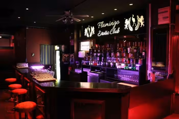 Flamingo Erotic Club