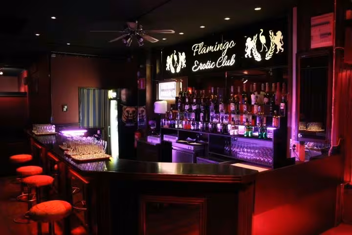 Flamingo Erotic Club - photo 1