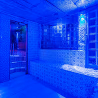 Sauna Caméléon - photo 13