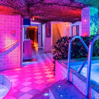 Sauna Caméléon - photo 15