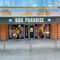 Bus Paradise Lyon - Show Spectacle Cabaret - photo 2
